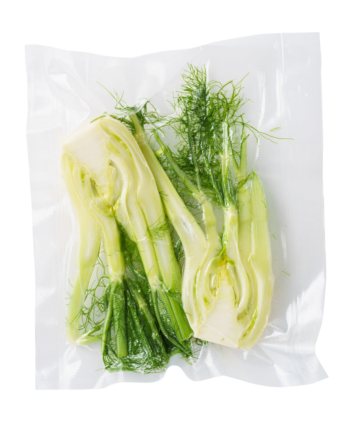 Appareil de mise sous vide avec dateur intégré